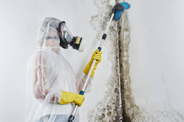 Crawl Space Mold Removal in Egypt, PA