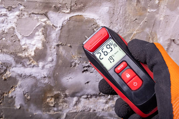 Best Professional Mold Removal  in Egypt, PA